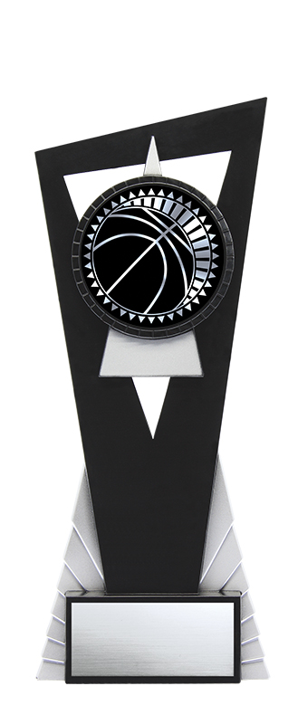 (image for) Solar Basketball Silver - 8"